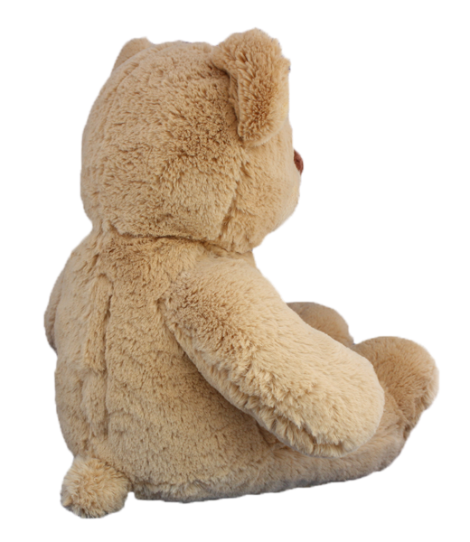 Buddy l ours brun 8