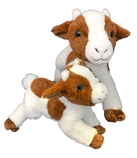 Teddy top bear goat