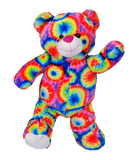 Multi colored teddy bear Stuff your own teddy bear kit 