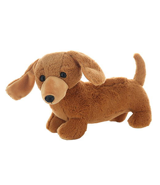 Dachshund teddy hot sale