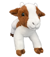 Gilbert le bouc "8  Goat