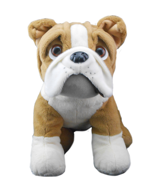 Buster le bulldog 8