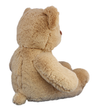 Brown teddy bear  Stuff your own teddy bear kit 