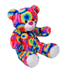 Multi colored teddy bear Stuff your own teddy bear kit 