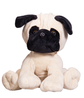 Milo le carlin 8" Pug