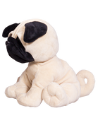 Milo le carlin 8" Pug